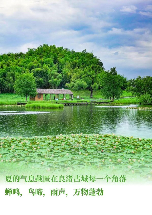 桥宜速配 雨天，解锁良渚古城的另一种打开方式→