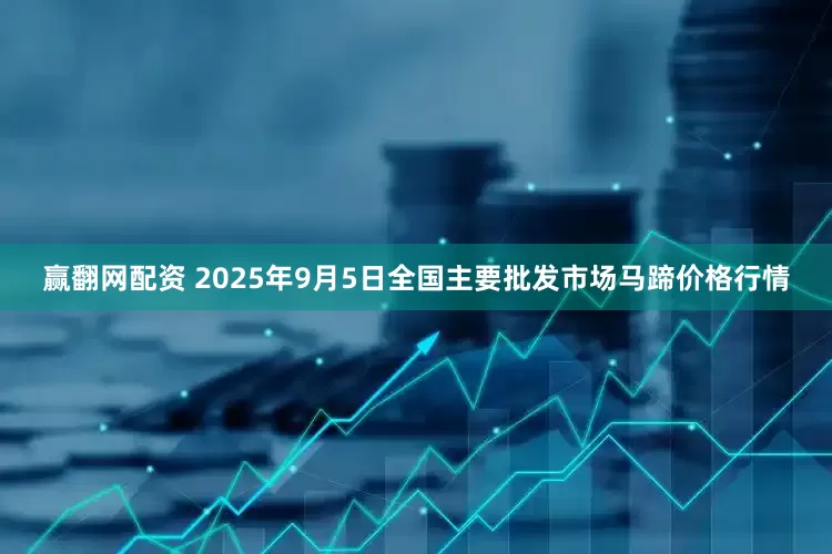 赢翻网配资 2025年9月5日全国主要批发市场马蹄价格行情