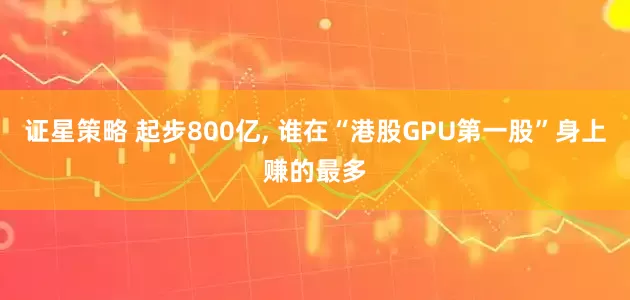 证星策略 起步800亿, 谁在“港股GPU第一股”身上赚的最多